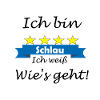 Schlau