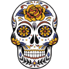 skull mexico mexico