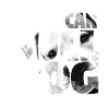 NASSU American Bulldog 2