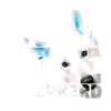 NASSU White Shep