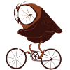 Cycling Owl