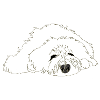hundemuede