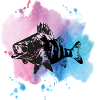 perche de pêche