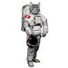 Weltraum Katze
