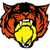 tiger tennis roars face