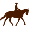 sport riding