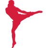 kickboxing sport
