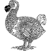 DODO Vogel