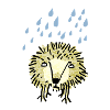Hedgehog