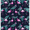 TROPICAL FLAMINGOS