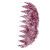 Qatar Shirt · Flag · DNA · fingerprint