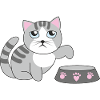 Hungry cat