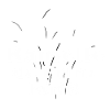 Prinz Karneval