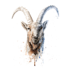 Steinbock