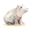 Nilpferd