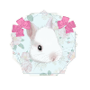 Daphne