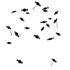 Kölner Karneval