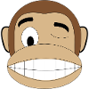 wink monkey
