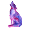 Galaxy Wolf