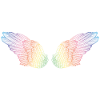 rainbow wings flight mode
