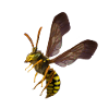 Wasp shirt by CustomStyle