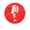 Gift MICROPHONE MIC
