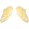 Hovering Golden Feather Angel Wings