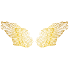 Fluffy Golden Angel Wings