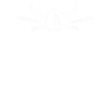 Always be a Viking Viking