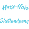 Shetland pony shirt glitter