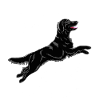 Flatti Always Positive B