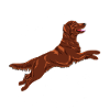 Flatti Always Positive