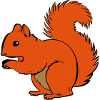 squirrel