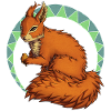 Red squirrel pattern