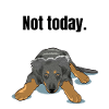 Hovawart lazy tired dog gift