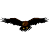 Aigle, Eagle