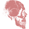 skeleton