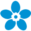 fleur myosotis