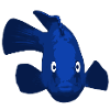 blauer Fisch