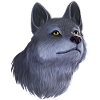 Wolf Portrait