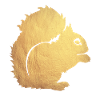 gold eichhörnchen