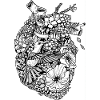 Hummingbird heart