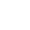 Truck / Truck 03_weiß