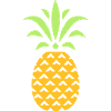 ANANAS STYLIZED