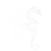 hippocampe