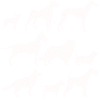 DOGS DOGS GIFT