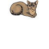 Devon Rex Cat Cute Gift