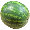 melon watermelon watermelon veggie gemues
