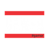 Gamer