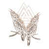 Vikinger Raven und Valknut